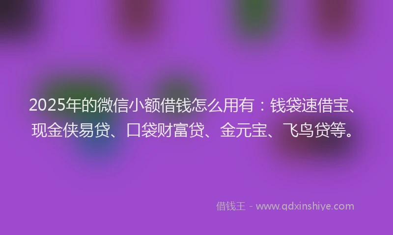 2025年的微信小额借钱怎么用有：钱袋速借宝、现金侠易贷、口袋财富贷、金元宝、飞鸟贷等。