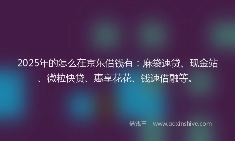 2025年的怎么在京东借钱有：麻袋速贷、现金站、微粒快贷、惠享花花、钱速借融等。