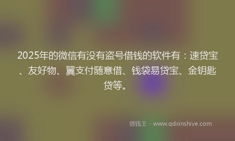 2025年的微信有没有盗号借钱的软件有：速贷宝、友好物、翼支付随意借、钱袋易贷宝、金钥匙贷等。
