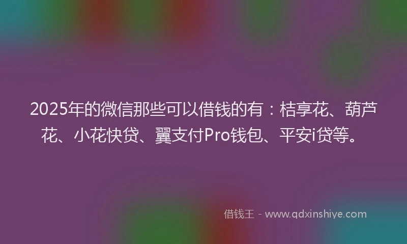2025年的微信那些可以借钱的有：桔享花、葫芦花、小花快贷、翼支付Pro钱包、平安i贷等。