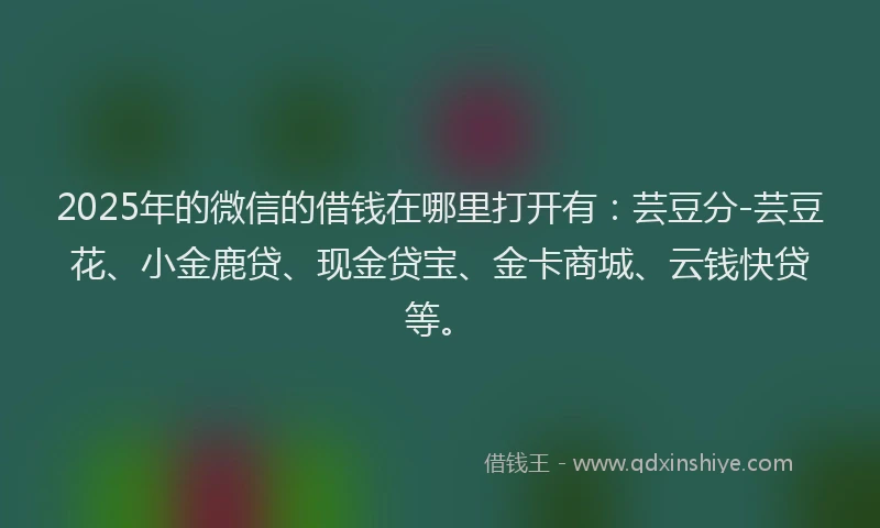 2025年的微信的借钱在哪里打开有：芸豆分-芸豆花、小金鹿贷、现金贷宝、金卡商城、云钱快贷等。