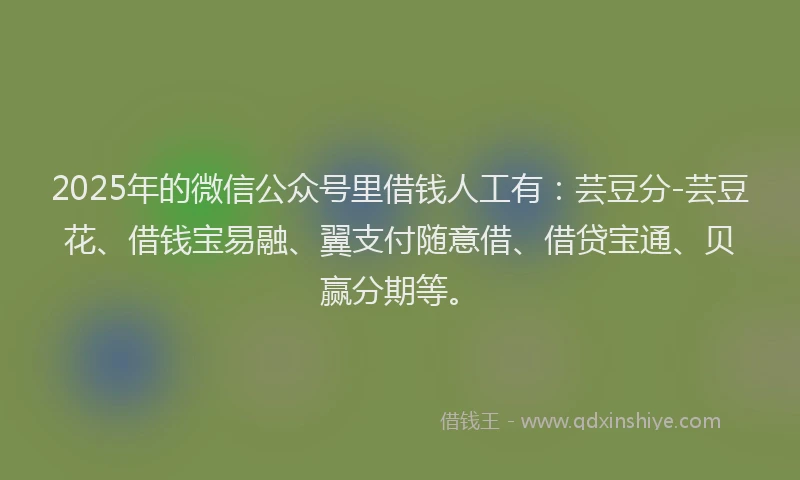 2025年的微信公众号里借钱人工有：芸豆分-芸豆花、借钱宝易融、翼支付随意借、借贷宝通、贝赢分期等。