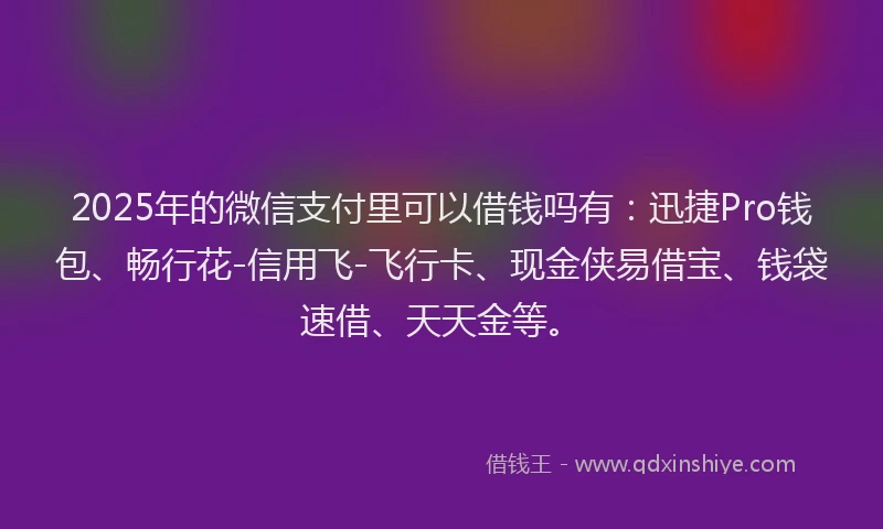 2025年的微信支付里可以借钱吗有：迅捷Pro钱包、畅行花-信用飞-飞行卡、现金侠易借宝、钱袋速借、天天金等。