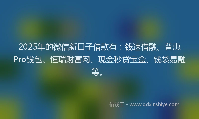 2025年的微信新口子借款有：钱速借融、普惠Pro钱包、恒瑞财富网、现金秒贷宝盒、钱袋易融等。