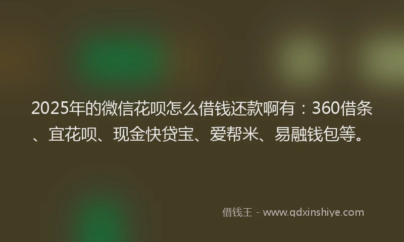 2025年的微信花呗怎么借钱还款啊有：360借条、宜花呗、现金快贷宝、爱帮米、易融钱包等。