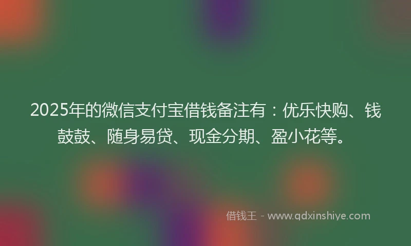 2025年的微信支付宝借钱备注有：优乐快购、钱鼓鼓、随身易贷、现金分期、盈小花等。