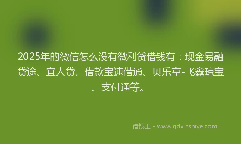 2025年的微信怎么没有微利贷借钱有：现金易融贷途、宜人贷、借款宝速借通、贝乐享-飞鑫琼宝、支付通等。