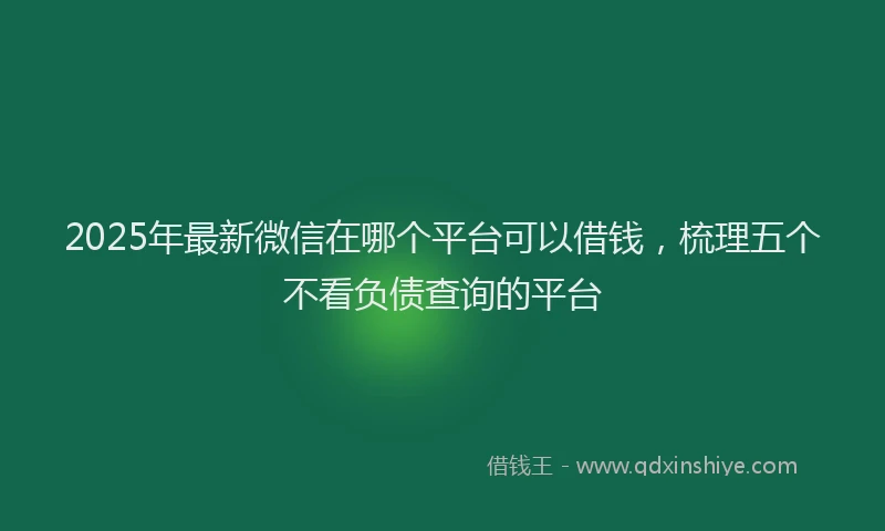 2025年最新微信在哪个平台可以借钱，梳理五个不看负债查询的平台