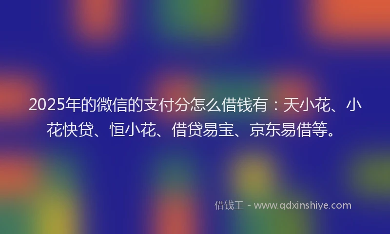 2025年的微信的支付分怎么借钱有：天小花、小花快贷、恒小花、借贷易宝、京东易借等。