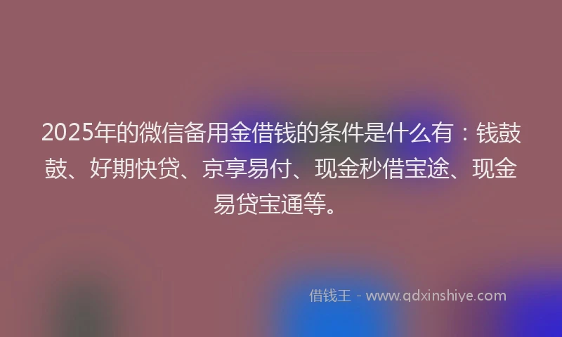 2025年的微信备用金借钱的条件是什么有：钱鼓鼓、好期快贷、京享易付、现金秒借宝途、现金易贷宝通等。