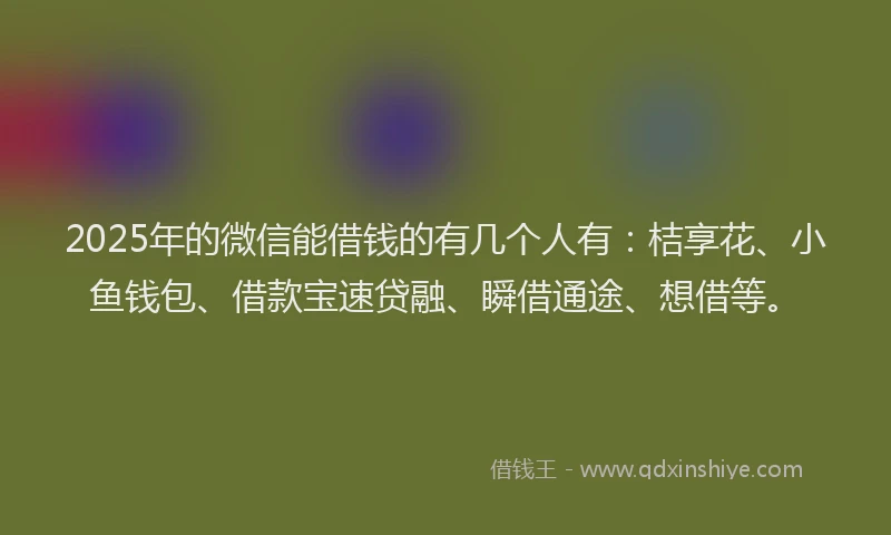 2025年的微信能借钱的有几个人有：桔享花、小鱼钱包、借款宝速贷融、瞬借通途、想借等。