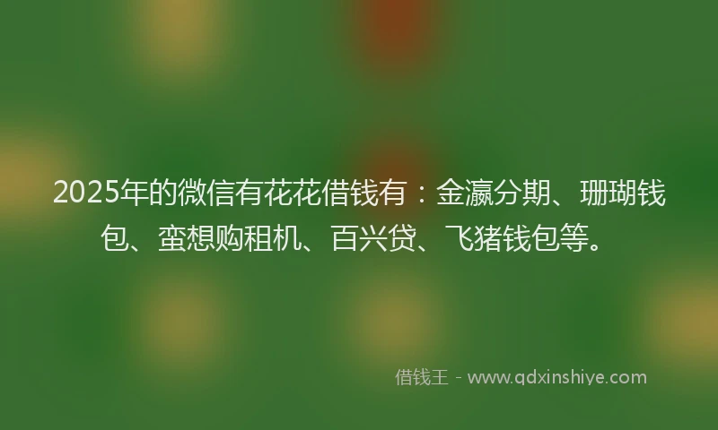 2025年的微信有花花借钱有：金瀛分期、珊瑚钱包、蛮想购租机、百兴贷、飞猪钱包等。