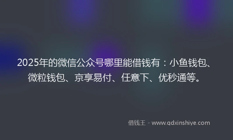 2025年的微信公众号哪里能借钱有：小鱼钱包、微粒钱包、京享易付、任意下、优秒通等。