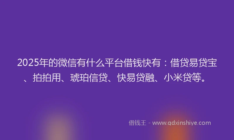 2025年的微信有什么平台借钱快有：借贷易贷宝、拍拍用、琥珀信贷、快易贷融、小米贷等。