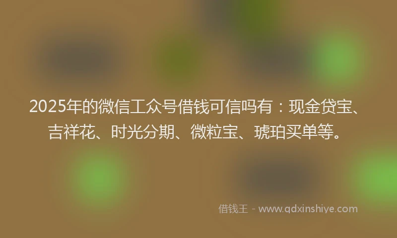 2025年的微信工众号借钱可信吗有：现金贷宝、吉祥花、时光分期、微粒宝、琥珀买单等。