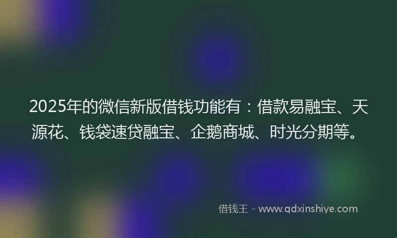 2025年的微信新版借钱功能有：借款易融宝、天源花、钱袋速贷融宝、企鹅商城、时光分期等。