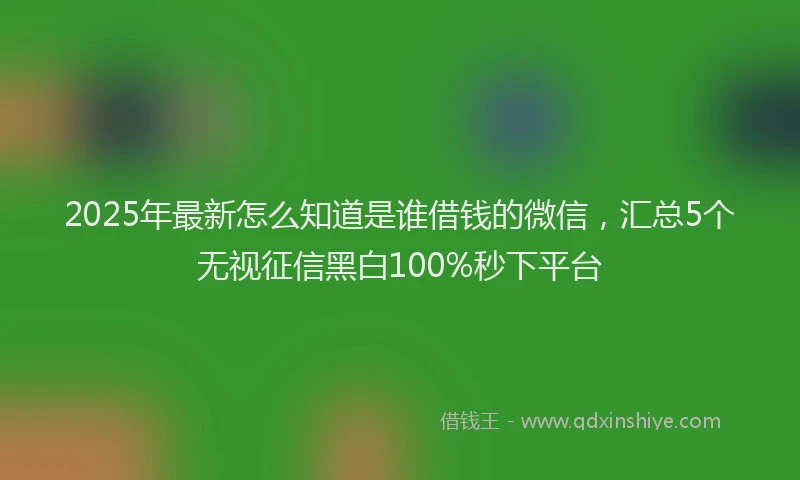 2025年最新怎么知道是谁借钱的微信，汇总5个无视征信黑白100%秒下平台