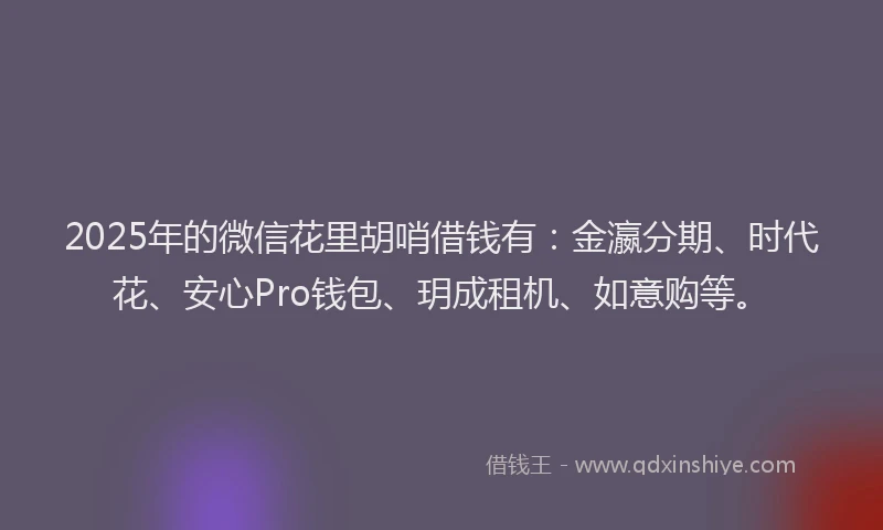 2025年的微信花里胡哨借钱有：金瀛分期、时代花、安心Pro钱包、玥成租机、如意购等。