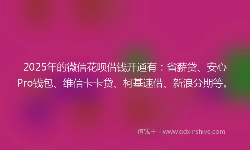 2025年的微信花呗借钱开通有：省薪贷、安心Pro钱包、维信卡卡贷、柯基速借、新浪分期等。
