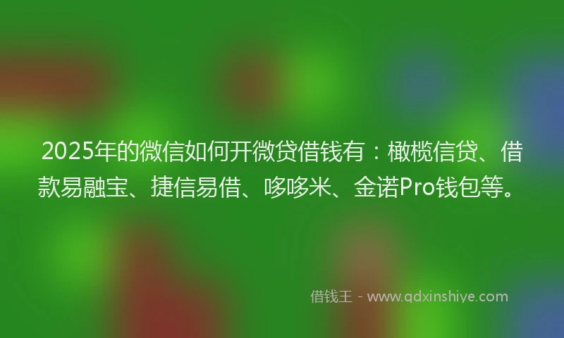 2025年的微信如何开微贷借钱有：橄榄信贷、借款易融宝、捷信易借、哆哆米、金诺Pro钱包等。