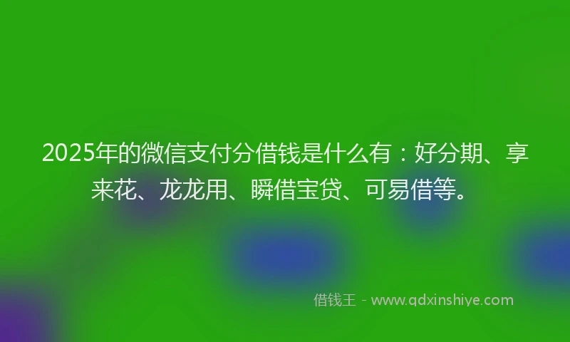 2025年的微信支付分借钱是什么有：好分期、享来花、龙龙用、瞬借宝贷、可易借等。