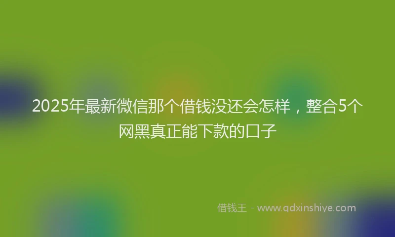 2025年最新微信那个借钱没还会怎样，整合5个网黑真正能下款的口子