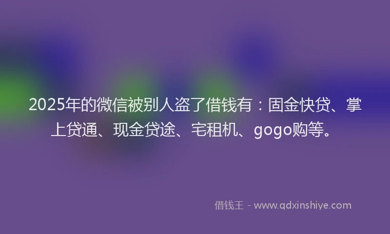 2025年的微信被别人盗了借钱有：固金快贷、掌上贷通、现金贷途、宅租机、gogo购等。