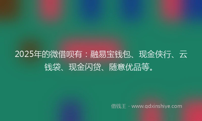 2025年的微借呗有：融易宝钱包、现金侠行、云钱袋、现金闪贷、随意优品等。