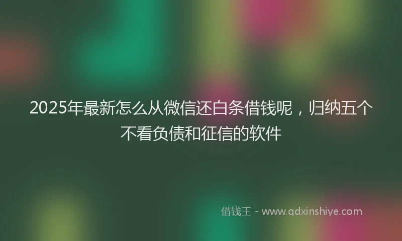 2025年最新怎么从微信还白条借钱呢，归纳五个不看负债和征信的软件