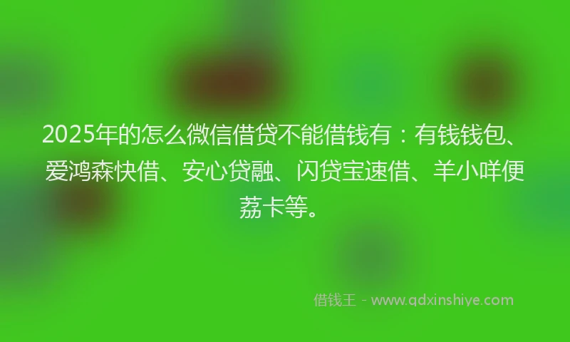 2025年的怎么微信借贷不能借钱有：有钱钱包、爱鸿森快借、安心贷融、闪贷宝速借、羊小咩便荔卡等。