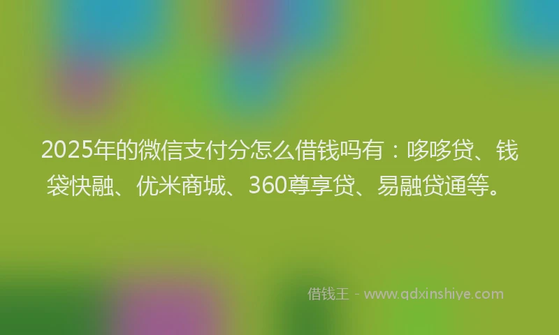 2025年的微信支付分怎么借钱吗有：哆哆贷、钱袋快融、优米商城、360尊享贷、易融贷通等。