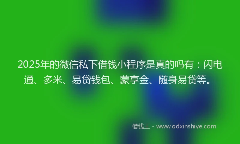 2025年的微信私下借钱小程序是真的吗有：闪电通、多米、易贷钱包、蒙享金、随身易贷等。