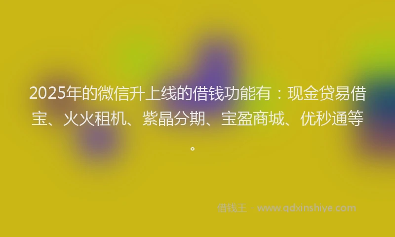 2025年的微信升上线的借钱功能有：现金贷易借宝、火火租机、紫晶分期、宝盈商城、优秒通等。