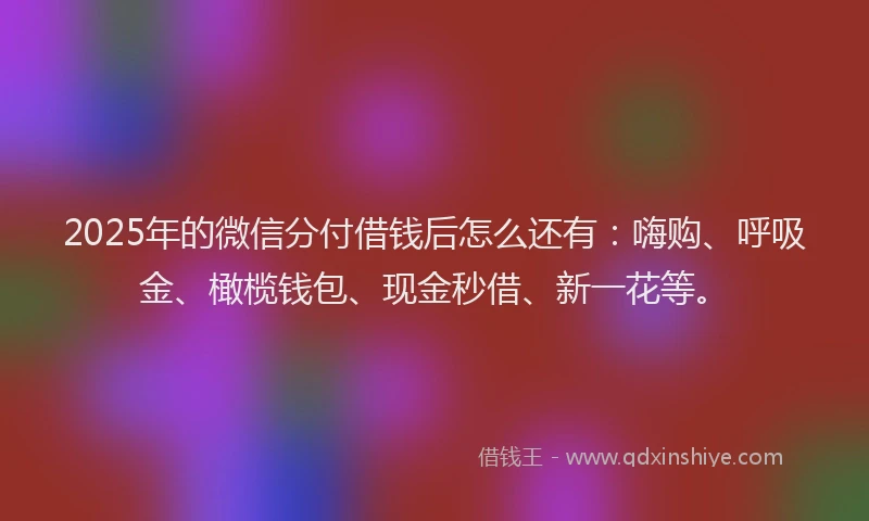 2025年的微信分付借钱后怎么还有：嗨购、呼吸金、橄榄钱包、现金秒借、新一花等。