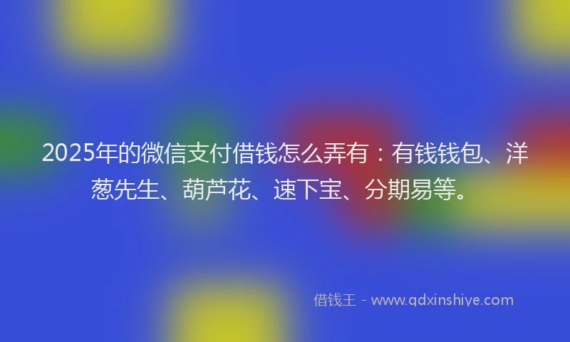 2025年的微信支付借钱怎么弄有：有钱钱包、洋葱先生、葫芦花、速下宝、分期易等。