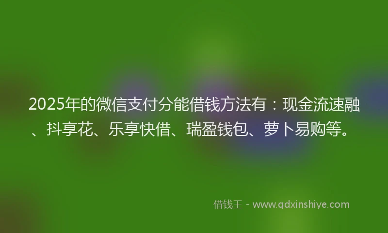 2025年的微信支付分能借钱方法有：现金流速融、抖享花、乐享快借、瑞盈钱包、萝卜易购等。
