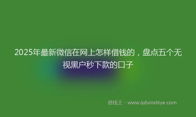 2025年最新微信在网上怎样借钱的，盘点五个无视黑户秒下款的口子