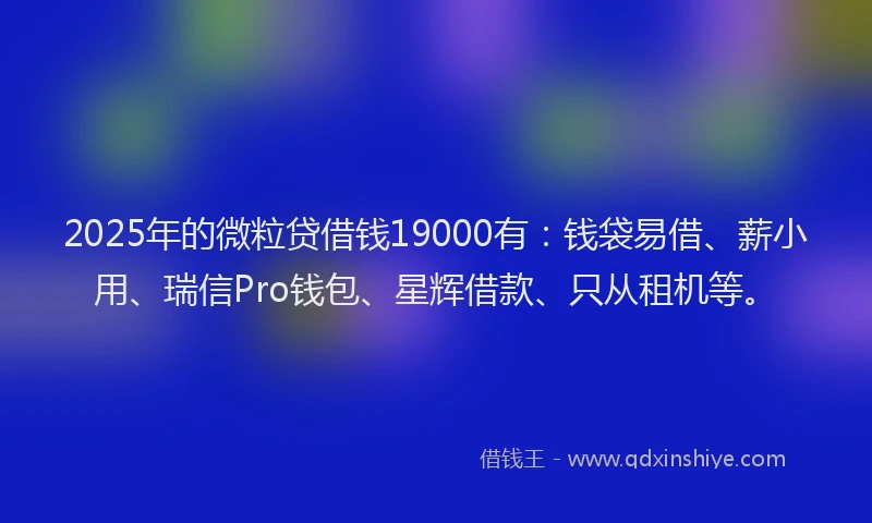2025年的微粒贷借钱19000有：钱袋易借、薪小用、瑞信Pro钱包、星辉借款、只从租机等。