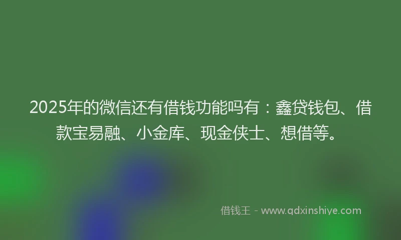 2025年的微信还有借钱功能吗有：鑫贷钱包、借款宝易融、小金库、现金侠士、想借等。