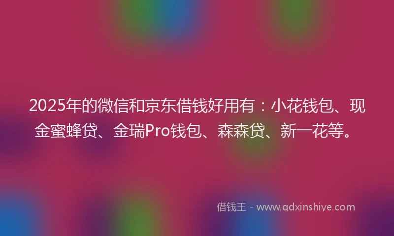 2025年的微信和京东借钱好用有：小花钱包、现金蜜蜂贷、金瑞Pro钱包、森森贷、新一花等。
