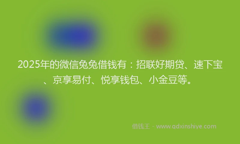 2025年的微信兔兔借钱有：招联好期贷、速下宝、京享易付、悦享钱包、小金豆等。