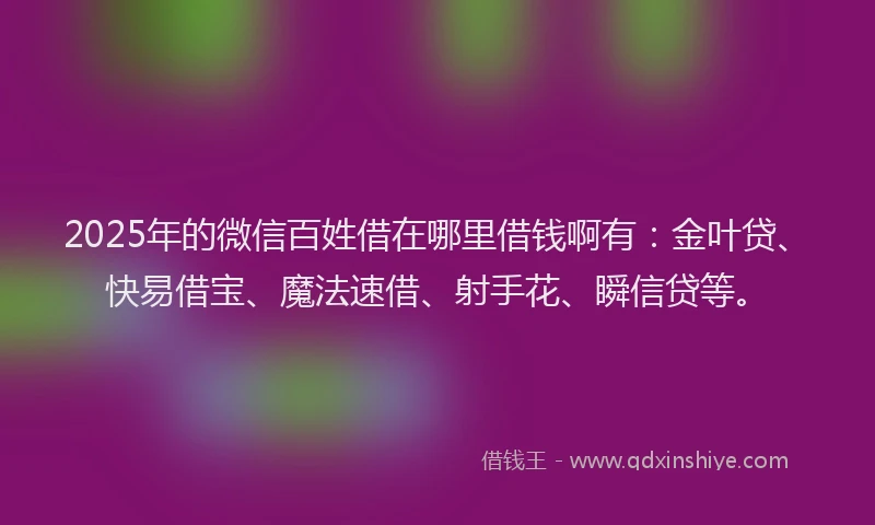 2025年的微信百姓借在哪里借钱啊有：金叶贷、快易借宝、魔法速借、射手花、瞬信贷等。