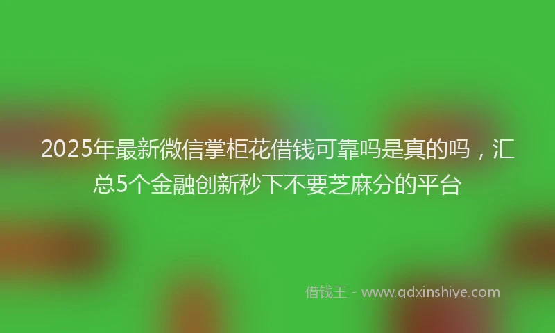 2025年最新微信掌柜花借钱可靠吗是真的吗，汇总5个金融创新秒下不要芝麻分的平台