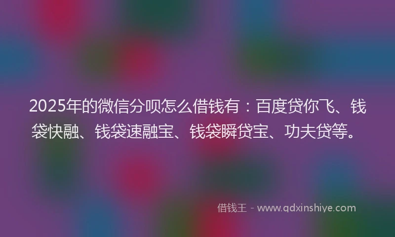 2025年的微信分呗怎么借钱有：百度贷你飞、钱袋快融、钱袋速融宝、钱袋瞬贷宝、功夫贷等。