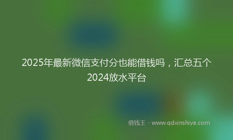2025年最新微信支付分也能借钱吗，汇总五个2024放水平台