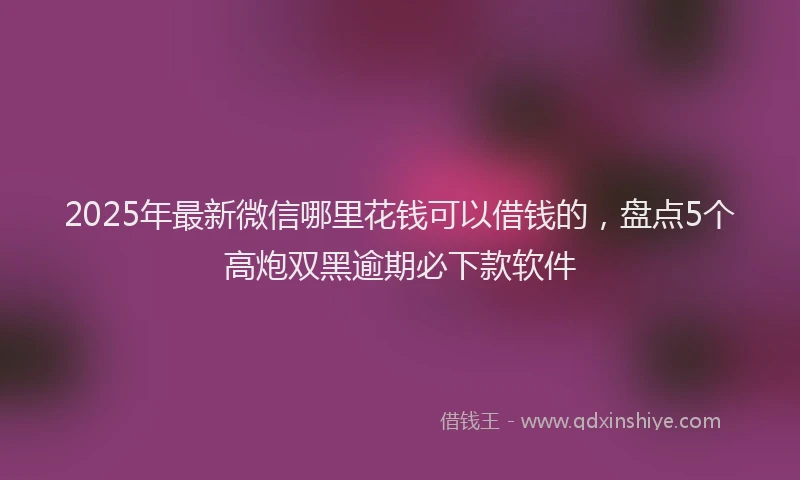 2025年最新微信哪里花钱可以借钱的，盘点5个高炮双黑逾期必下款软件