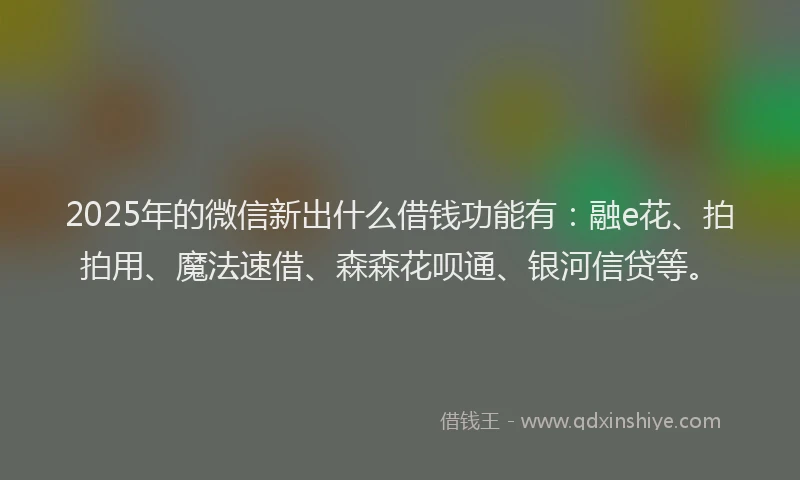 2025年的微信新出什么借钱功能有：融e花、拍拍用、魔法速借、森森花呗通、银河信贷等。