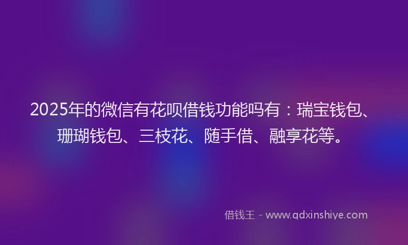 2025年的微信有花呗借钱功能吗有：瑞宝钱包、珊瑚钱包、三枝花、随手借、融享花等。