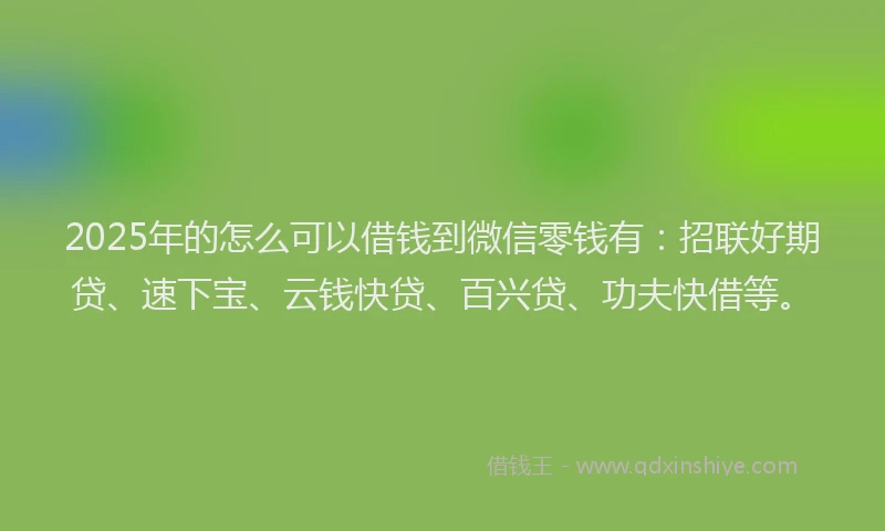 2025年的怎么可以借钱到微信零钱有：招联好期贷、速下宝、云钱快贷、百兴贷、功夫快借等。