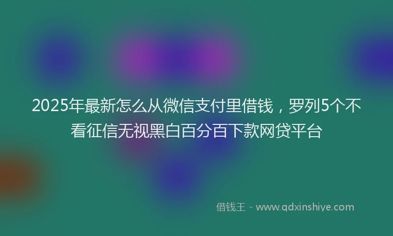 2025年最新怎么从微信支付里借钱，罗列5个不看征信无视黑白百分百下款网贷平台